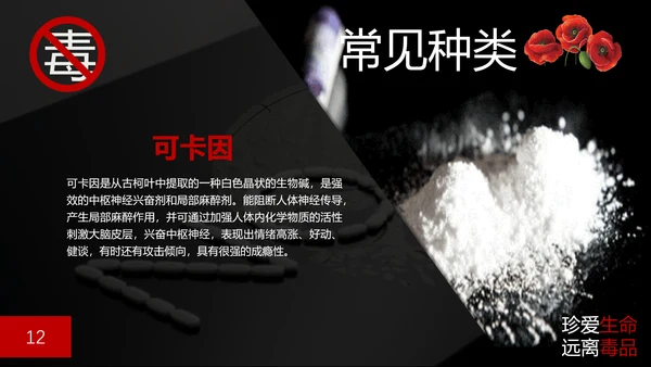 珍爱生命禁毒无毒PPT