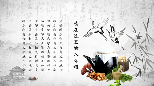 传统中医学中医院中医文化中草药PPT模板