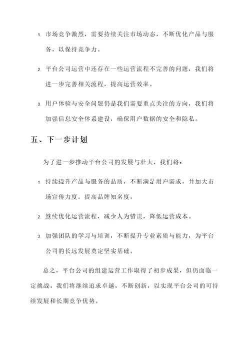 关于平台公司组建运营情况汇报