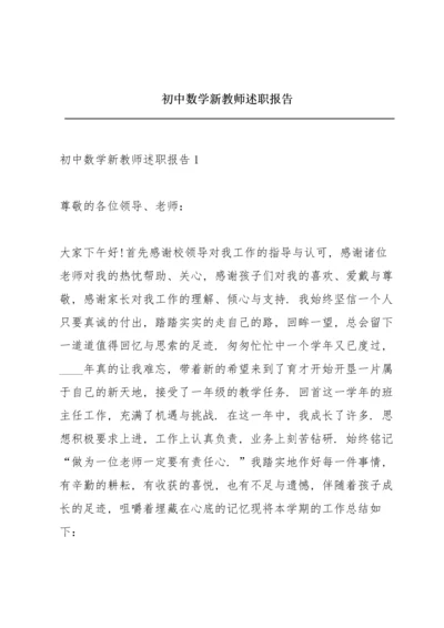 初中数学新教师述职报告.docx