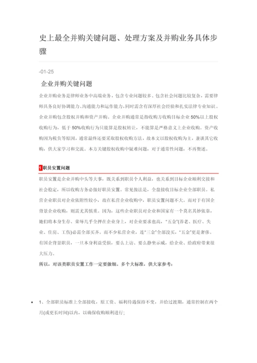 史上最全并购的关键问题解决专业方案及并购业务具体步骤.docx
