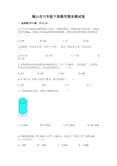 锡山市六年级下册数学期末测试卷（考点梳理）.docx