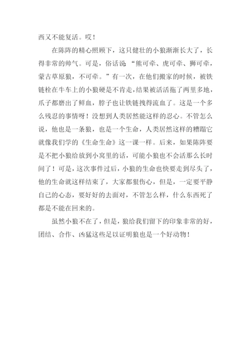 小狼小狼读后感500字.docx