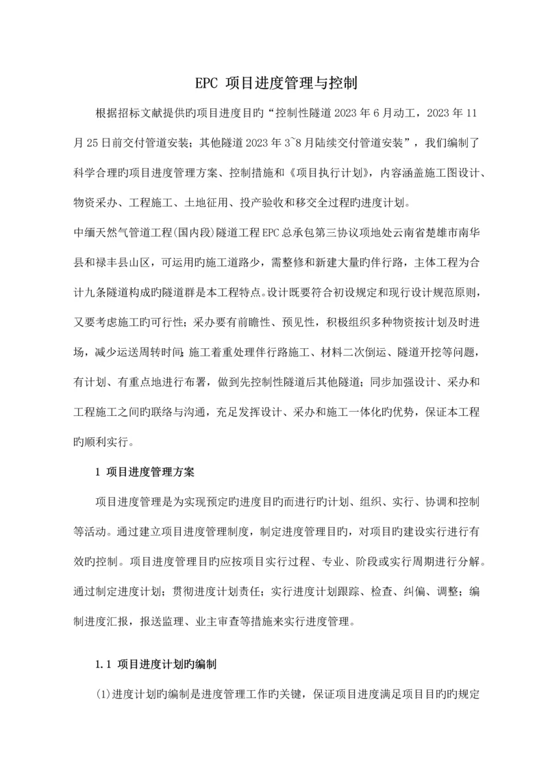 EPC项目进度管理与控制措施.docx