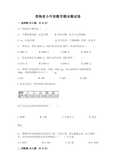 青海省小升初数学期末测试卷ab卷.docx