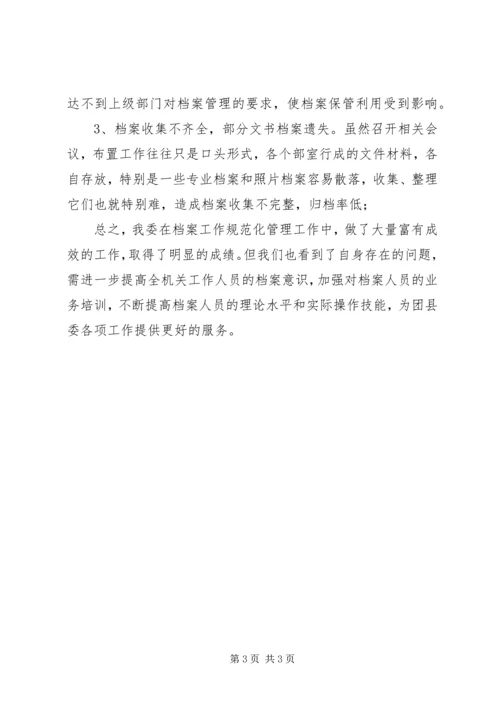 团县委档案管理自查报告.docx