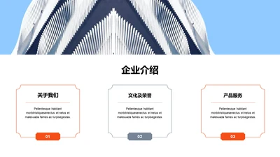 单色扁平3项企业介绍