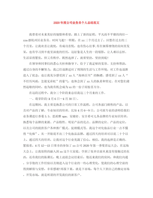 精编之年度公司业务员个人总结范文.docx