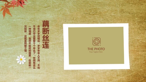 怀旧风格20年同学联谊会PPT模板