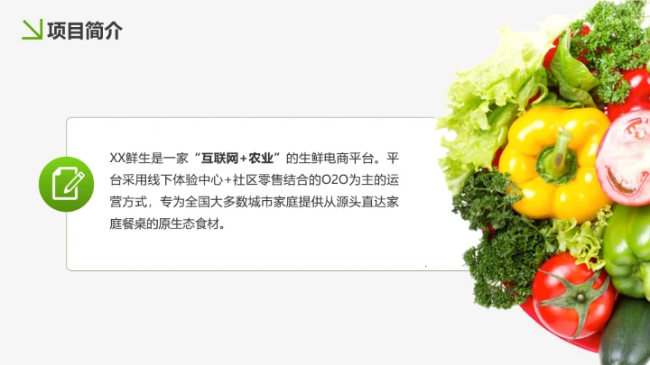 美味生鲜项目运营策划书PPT模板