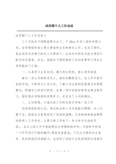 试用期个人工作总结.docx