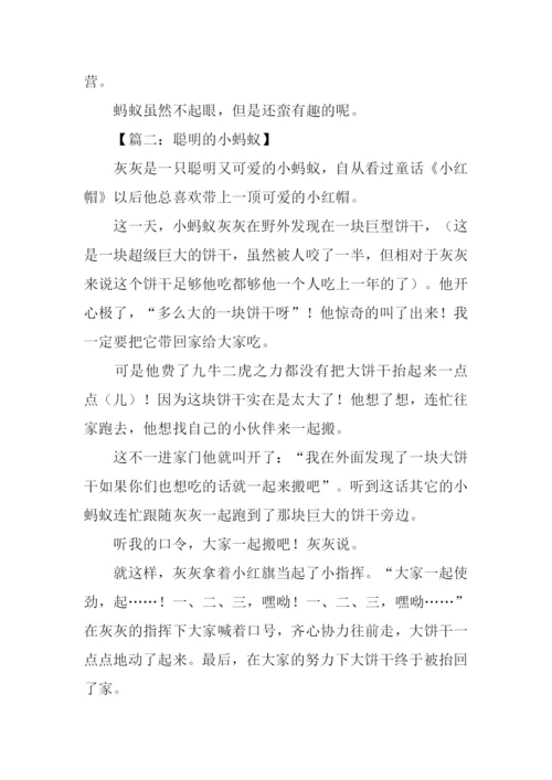 关于蚂蚁的作文500字.docx