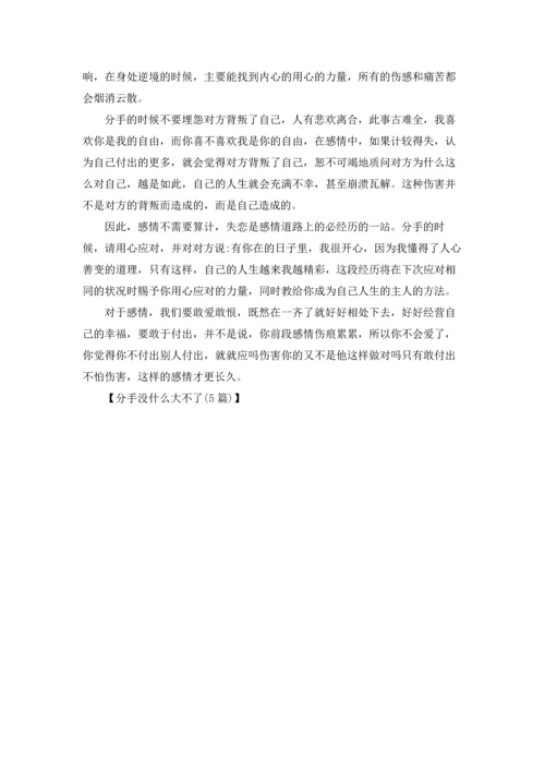 分手没什么大不了(5篇).docx