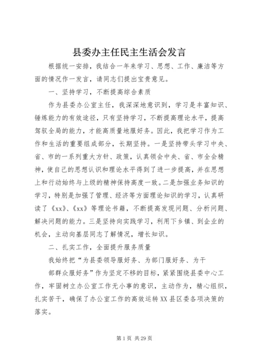 县委办主任民主生活会发言.docx