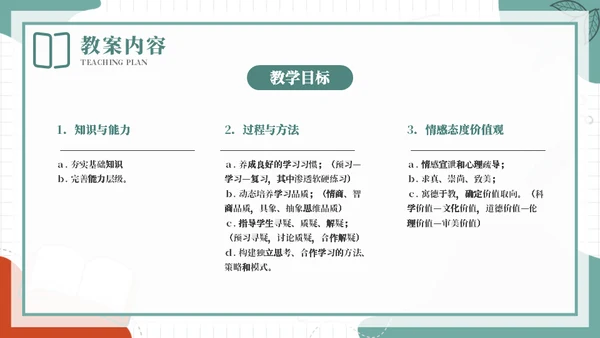 合格的老师教案基本格式通用PPT模板