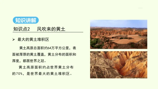 6.3 世界最大的黄土堆积区——黄土高原 第1课时 文明的摇篮 风吹来的黄土（课件31张）- 人教版