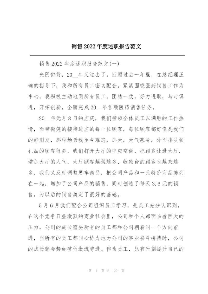 销售2022年度述职报告范文.docx