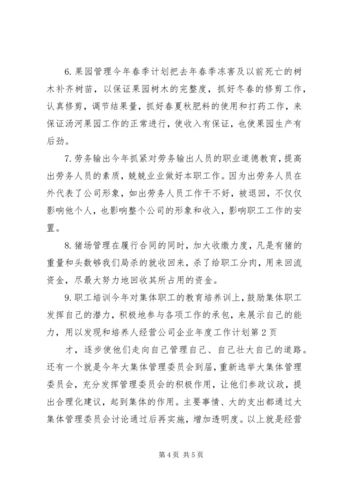 经营公司企业年度工作计划.docx