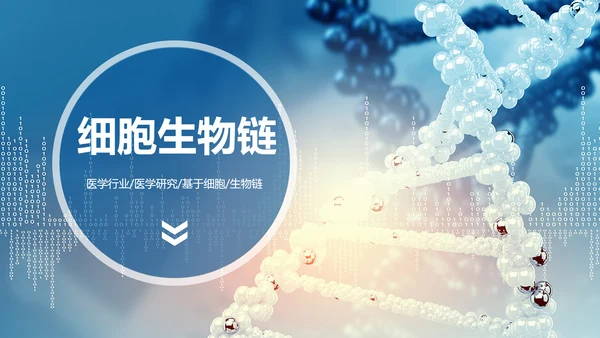 生物基因链化学制药细胞医疗医学PPT模板