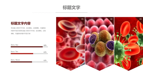医疗细菌病毒微生物细胞组织动态ppt模板