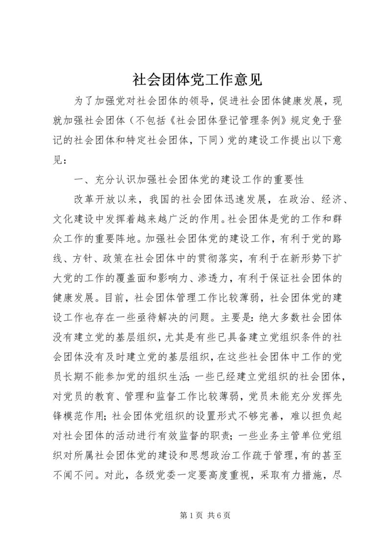 社会团体党工作意见.docx