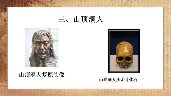 初中历史《人类起源》教学通用PPT课件
