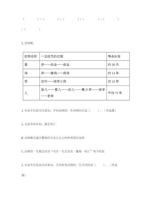 教科版小学科学三年级下册期末测试卷【黄金题型】.docx