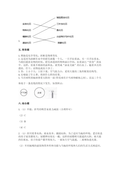 教科版科学六年级下册期末测试卷【夺冠系列】.docx