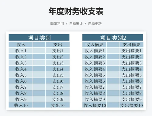 年度财务收支表