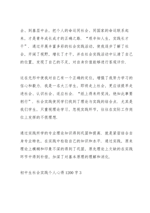 初中生社会实践个人心得体会1200字5篇_初中生社会实践心得体会感想.docx
