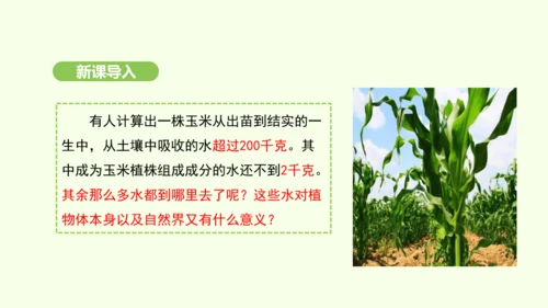 第三单元-第二章-第一节-水的利用与散失课件-2024-2025学年七年级生物下学期人教版(2024