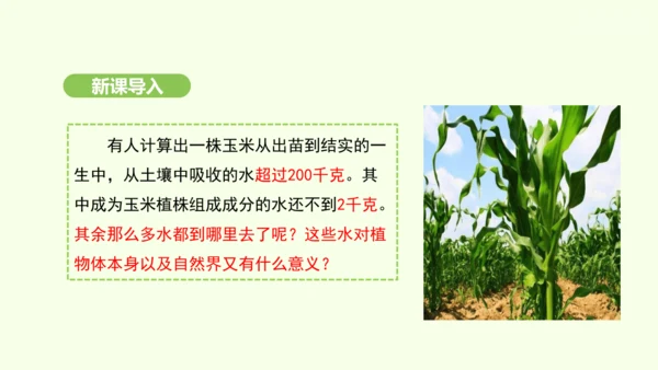 第三单元-第二章-第一节-水的利用与散失课件-2024-2025学年七年级生物下学期人教版(2024