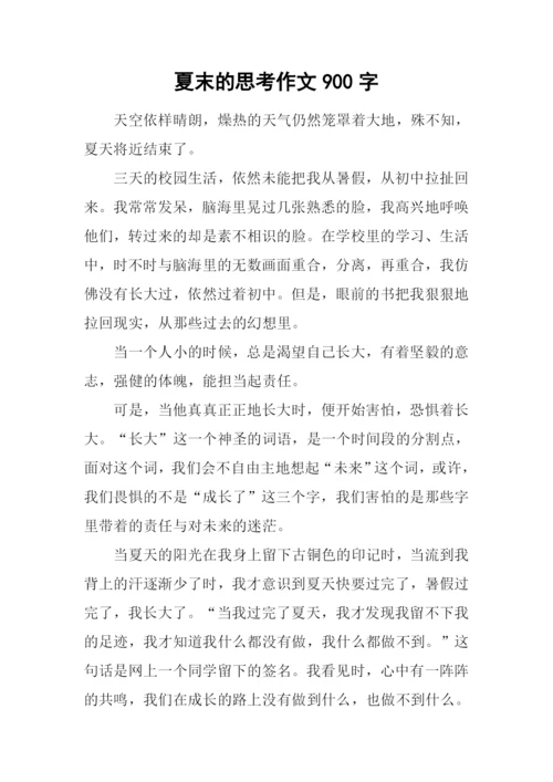 夏末的思考作文900字.docx