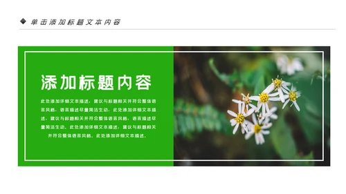 唯美绿色植物发芽植物生长敬畏生命PPT模板