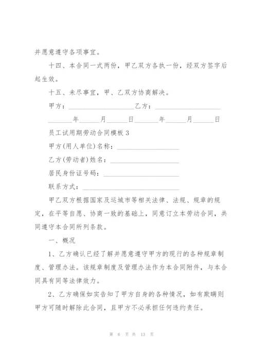 经典员工试用期劳动合同模板.docx