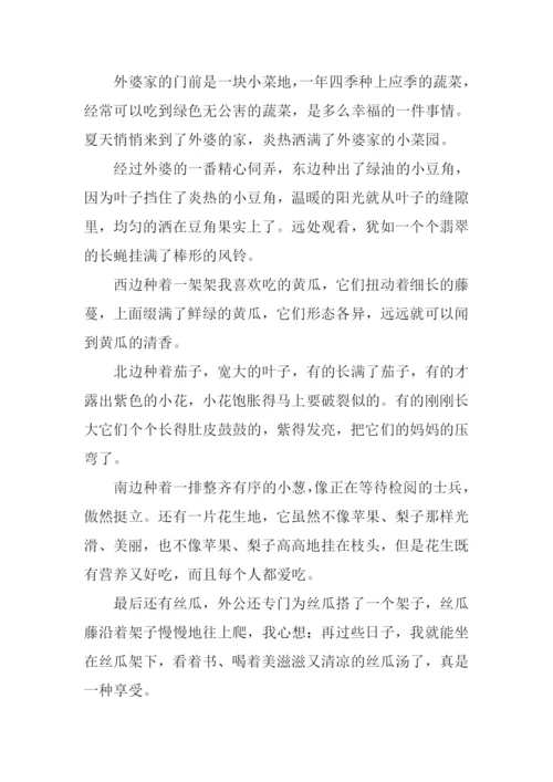 姥姥家的小菜园作文.docx