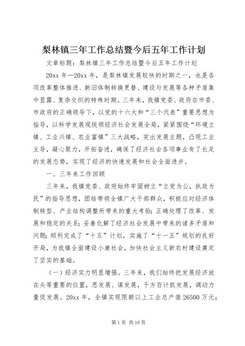 梨林镇三年工作总结暨今后五年工作计划 (7).docx