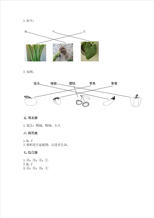 教科版科学一年级上册第一单元植物测试卷附答案培优b卷