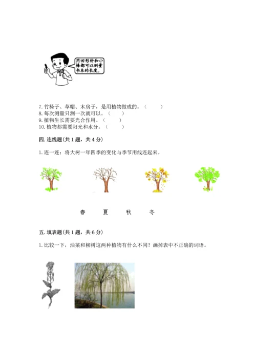 教科版一年级上册科学期末测试卷精品【夺冠系列】.docx