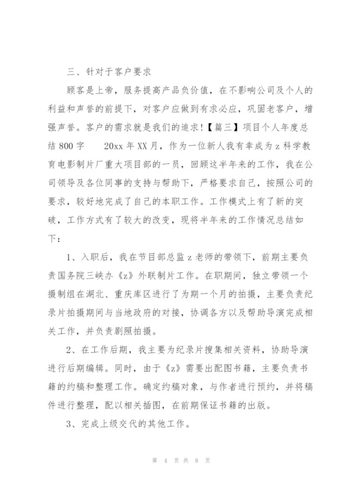 项目个人年度总结800字.docx