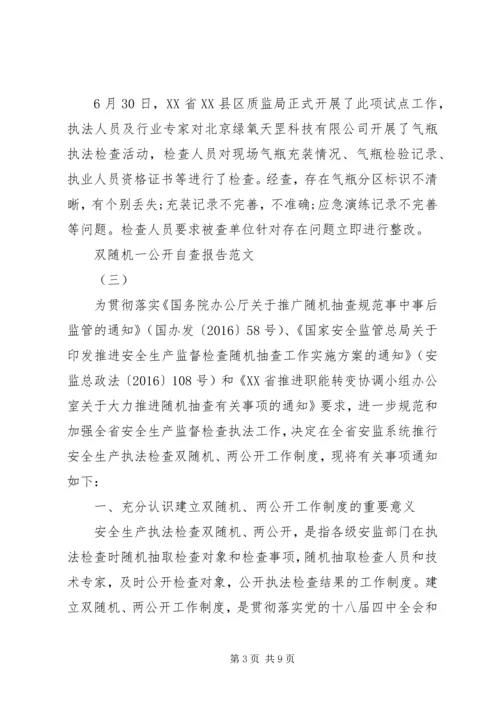 双随机一公开自查报告.docx