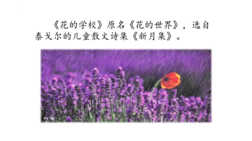 2《花的学校》   课件