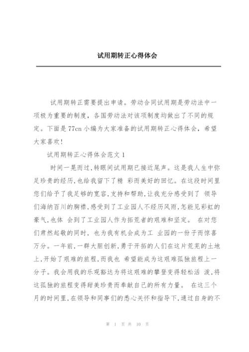 试用期转正心得体会.docx