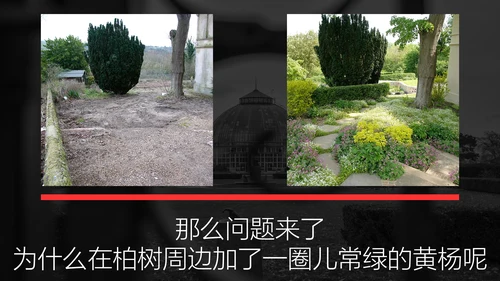 神秘花园致命诱惑通用PPT模板