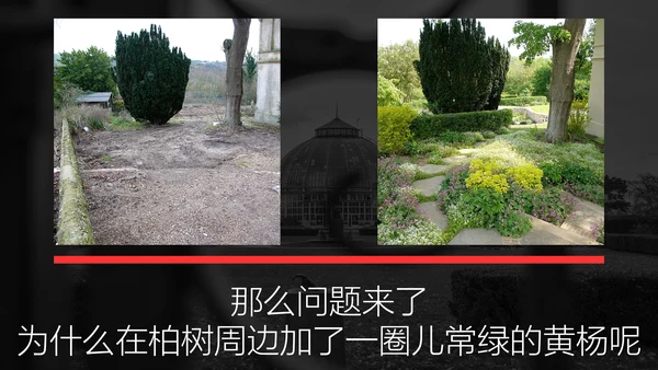 神秘花园致命诱惑通用PPT模板