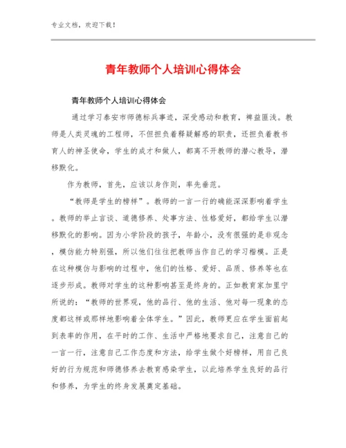 2024年青年教师个人培训心得体会范文10篇合辑.docx