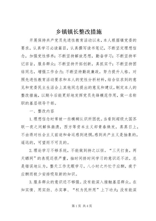 乡镇镇长整改措施.docx