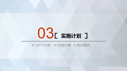 商业轻奢大气银灰色创业项目计划书通用PPT