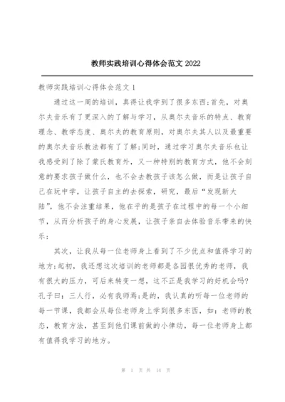 教师实践培训心得体会范文2022.docx