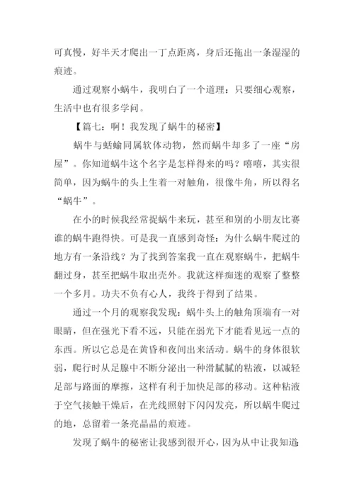 我发现了蜗牛的秘密作文350字.docx